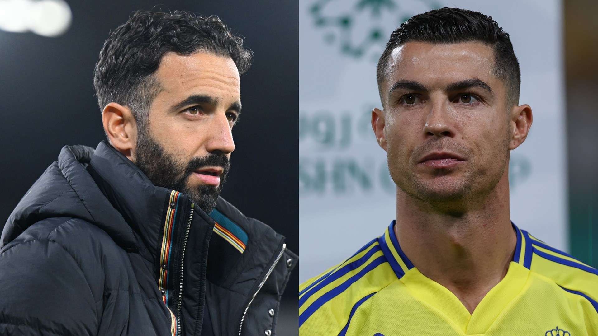 供了更多的 供了更多的